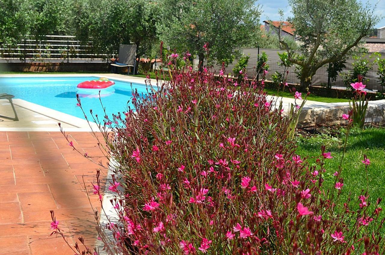 Holiday Home Sverko Novigrad Istria 外观 照片